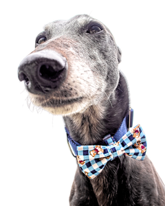 NEW! Bow Tie - Gingham Bears ONE OF A KIND