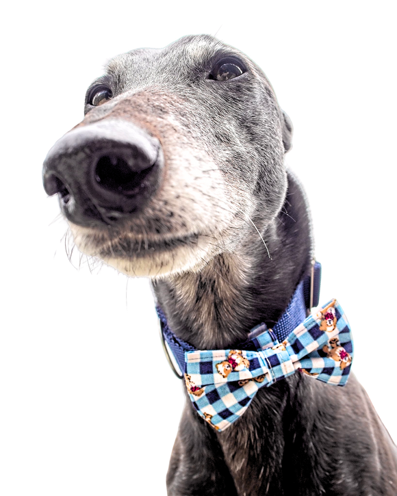 NEW! Bow Tie - Gingham Bears ONE OF A KIND