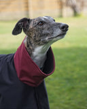 Navy with Burgundy Two-Tone Raincoat