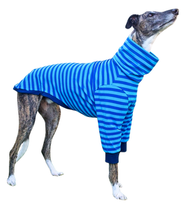 Blue Stripes Long Sleeved Greyhound T-shirt