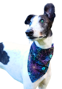 Neon Spiders/Purple Bandana/Scarf