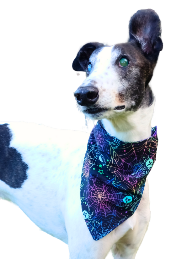 Neon Spiders/Purple Bandana/Scarf