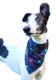 Neon Spiders/Purple Bandana/Scarf