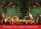 NEW! Greyhound Christmas Cards - Cathy Dee Photography