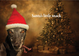 NEW! Greyhound Christmas Cards - Cathy Dee Photography