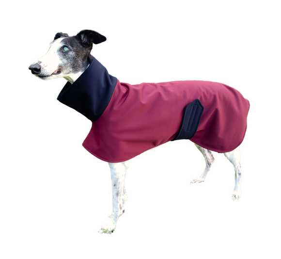 Burgundy with Navy Two-Tone Raincoat