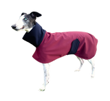 Burgundy with Navy Two-Tone Raincoat