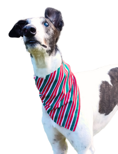 NEW! Bandana/Scarf - Candy Cane