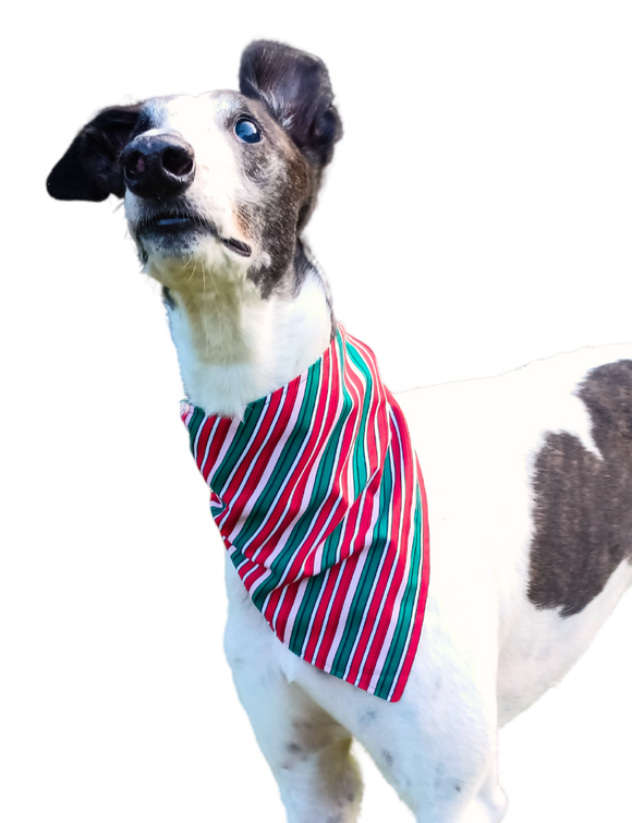 NEW! Bandana/Scarf - Candy Cane