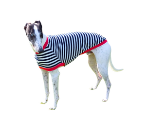 NEW! Navy & White Stripes Greyhound T-Shirt with Red Binding - PREORDER