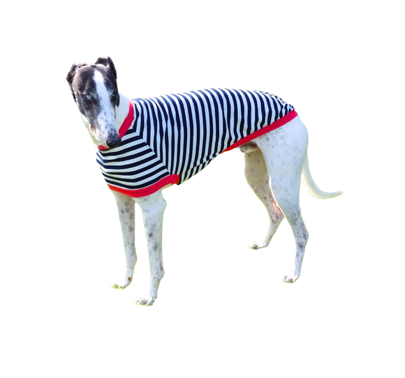 NEW! Navy & White Stripes Greyhound T-Shirt with Red Binding