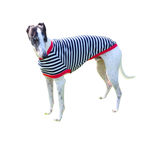 NEW! Navy & White Stripes Greyhound T-Shirt with Red Binding - PREORDER