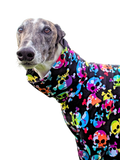 NEW! Colourful Skulls Long Sleeved Greyhound T-shirt