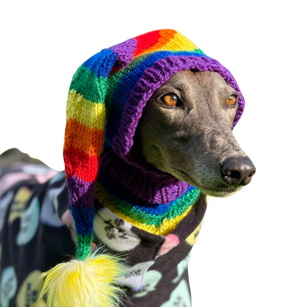 NEW! Knitted Hat - Rainbow Stripes