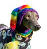 NEW! Knitted Hat - Rainbow Stripes