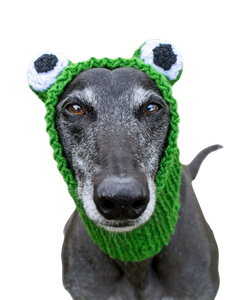 Frog Hat/Snood