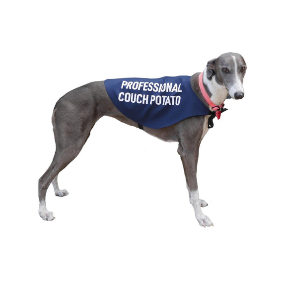 Vest - Professional Couch Potato