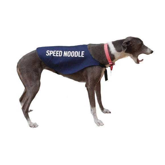 Vest - Speed Noodle