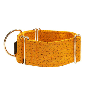 Orange Pattern 2" Collar