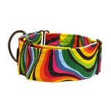 Colourful Swirls 2" Collar