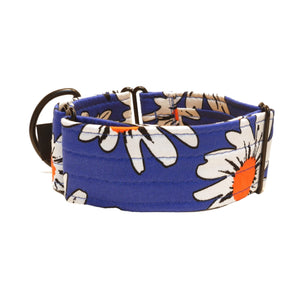 Blue with White Flowers 2" Collar