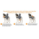 ThunderShirt - the effective solution for dog anxiety